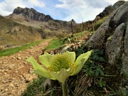 Laghi Gemelli e della Paura con Cima di Mezzeno-28sett21 - FOTOGALLERY